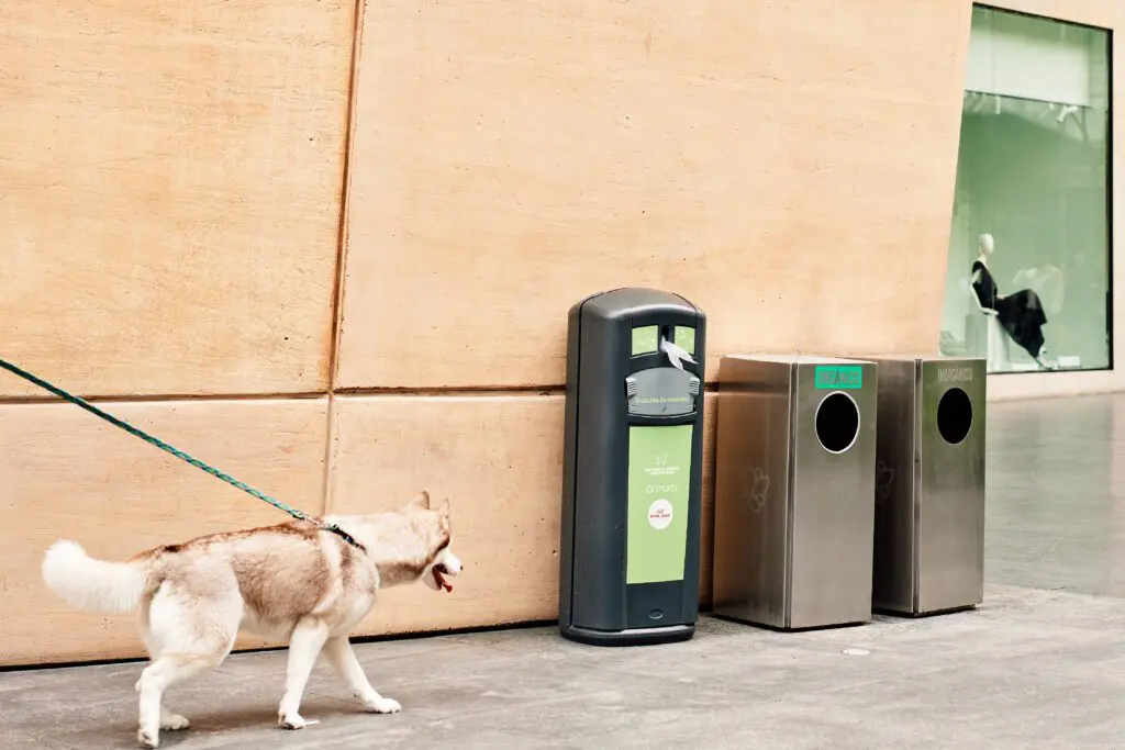Contenedores pet friendly - Plaza Antara - CDMX