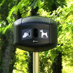 Dispensador de bolsas - Retriever City