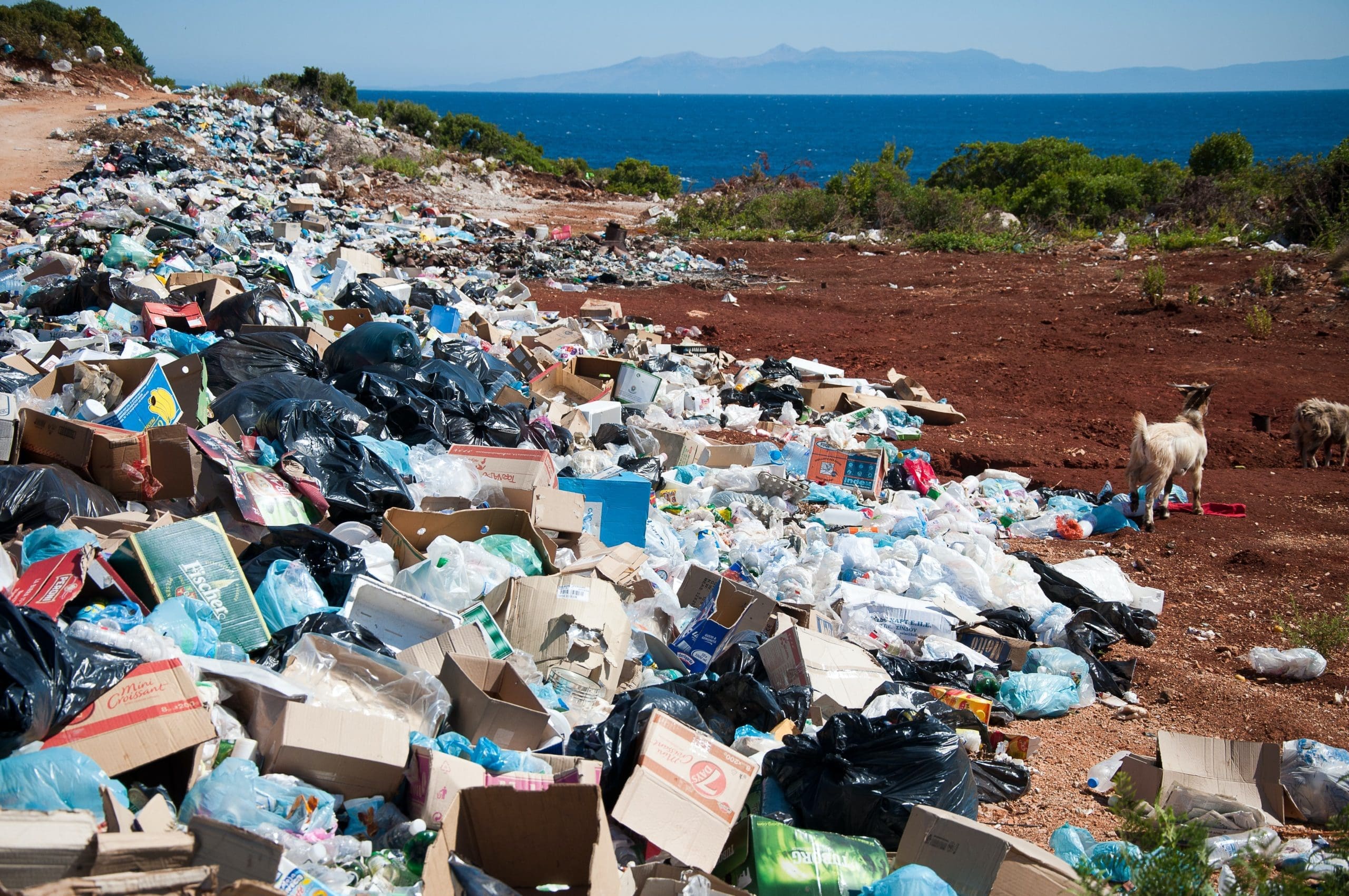 basura afecta la salud humana y el medio ambiente